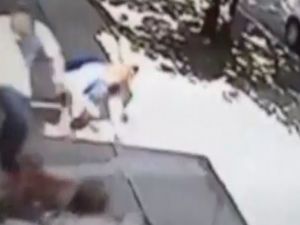 Pitbull kadın ve köpeğine böyle saldırdı