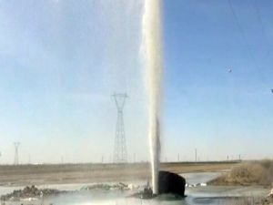 Görenler gözlerine inanamadı!