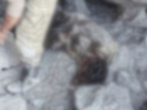 teröristlere ait çok sayıda mühimmat ele geçirildi.