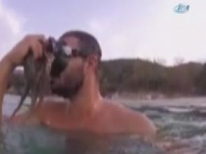 Ahtapot yüzüne böyle yapıştı