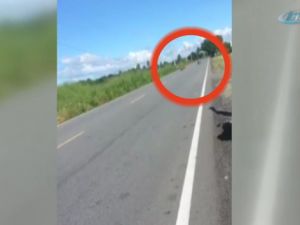 Metrelerce sürüklendi, hiçbir şey olmamış gibi ayağa kalktı