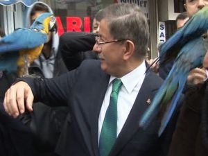 Ahmet Davutoğlu'nun papağan ile zor anları