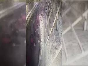 Konya'da Tavuklar Kümese Giren Tilkiyi Kovaladı