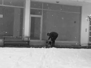 Montunu çıkartıp köpeğin üzerini örttü
