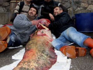 İznik Gölü'nden 8 yıl sonra canavar çıktı