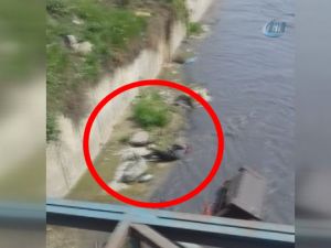 Uyuşturucu etkisindeki genç metrelerce yüksekten dereye düştü