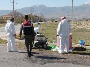 Niğde’de kuş gribi şüphesi