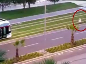 İzmir'de hoşgörünün tablosu