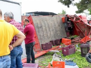 Tarım işçilerini taşıyan kamyonet kaza yaptı: 3 ölü, 5 yaralı
