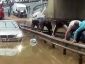 Selden timsah yürüyüşüyle kurtulmaya çalıştılar
