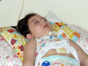 Bir kabak çekirdeğiyle hayatları karardı