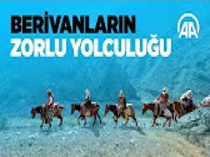 Berivanların 3 bin rakımdaki zorlu yaşamı