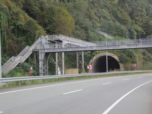 Artvin'de labirent gibi üst geçit