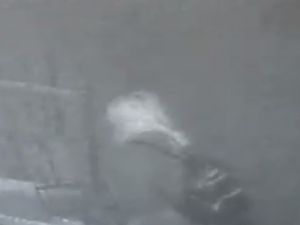 Bar sahibi kadının öldürülme anı kameraya yansıdı