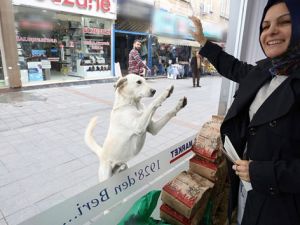 Patisiyle tıklıyor, yemeğini kapıyor