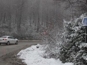 Bolu Dağı’nda yoğun sis ulaşımı olumsuz etkiledi