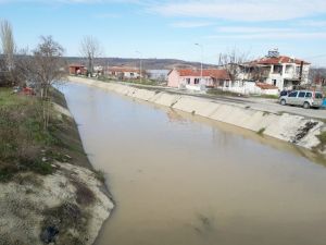 Ergene Nehri taştı, ağıllar sular altında kaldı