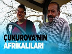 Çukurova'nın Afrikalıları