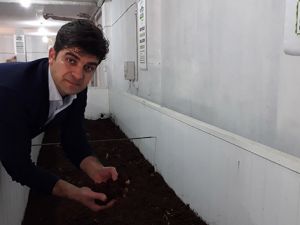 Merakla başladı, 10 milyon solucana ulaştı