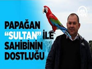 Her gittiği yere götürüyor