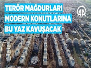 Nusaybin'de yeni hayat başlıyor