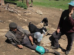 80 yaşında, varlık içinde sefalet çeken adam