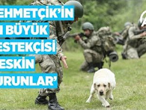 Keskin burunlar Mehmetçik'i hain tuzaklardan kurtardı