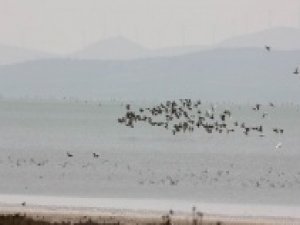 Seyfe Gölünde kartpostallık görüntüler