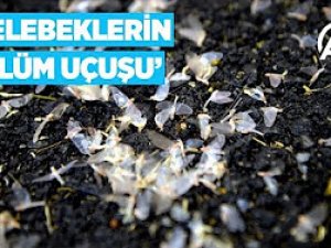 Son kez uçtular