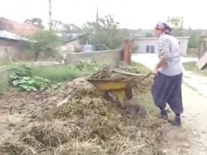 Çiftçi Feride ablanın azmi takdir topluyor