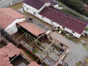 Eski mandırayı su bastı, hayvanlar telef oldu