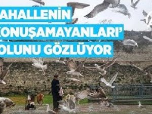Mahallenin 'konuşamayanları' yolunu gözlüyor