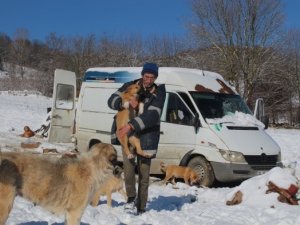 Sokak hayvanlarını beslemek için İstanbul'daki dairesini sattı