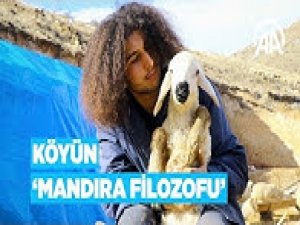 Köyünün 'Mandıra filozofu' koyunlarının çobanı oldu