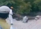 Taliban, 1 kadını herkesin gözü önünde katletti!