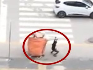 Yükü kendisinden ağır