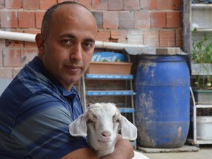 Evladı gibi sevdiği keçiyi yanından ayırmıyor