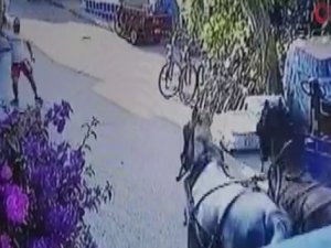 Büyükada'da fayton faciası kamerada