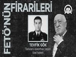 FETÖ'nün firarileri: Tevfik Gök