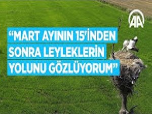 Arazisini 35 yıldır leyleklerle paylaşıyor