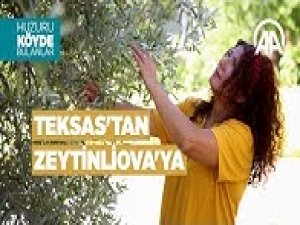 Doğa tutkusu Teksas'tan Zeytinliova'ya getirdi