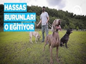 'Hassas burun'lar onun elinde yetişiyor
