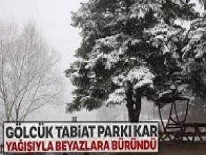 'Gölcük Tabiat Parkında' Kartpostallık Görüntüler Oluştu