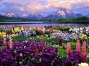 Dünyadan olağanüstü görüntüler 