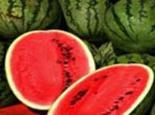 Karpuza elektrik verilirse